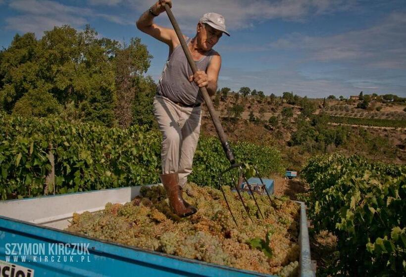 Дом 1 Спальня, Agriturismo Villino Del Grillo