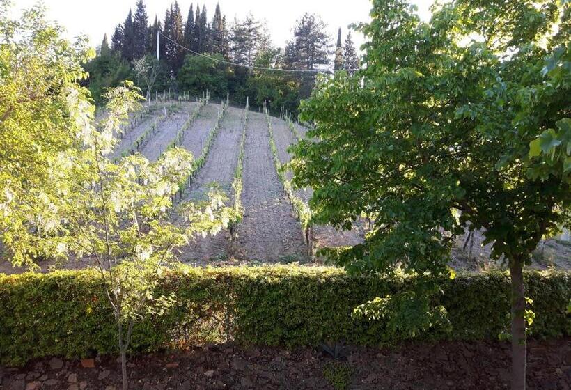 Дом 1 Спальня, Agriturismo Villino Del Grillo