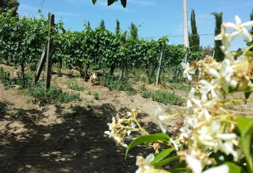 Дом 1 Спальня, Agriturismo Villino Del Grillo