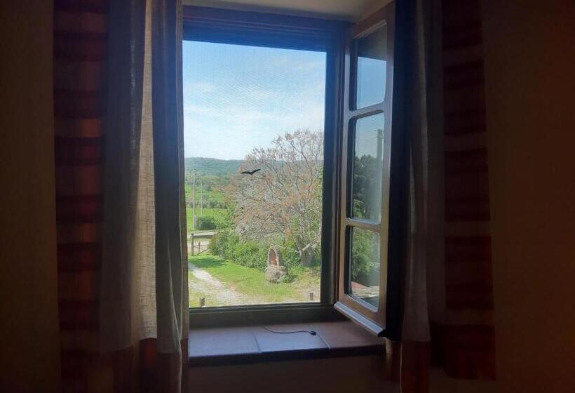 דירת חדר, Poggio Dell Olivo