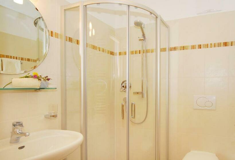 آپارتمان 2 خوابه با بالکن, Singerhof