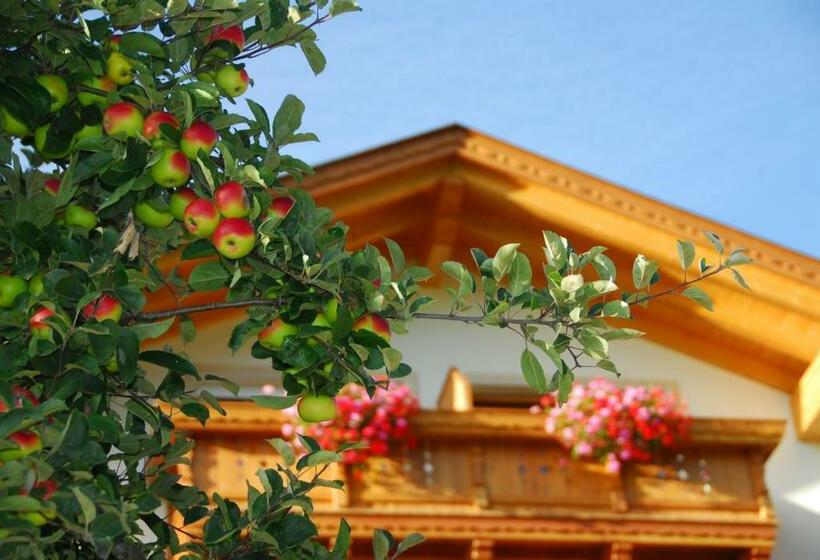 آپارتمان 2 خوابه با بالکن, Singerhof