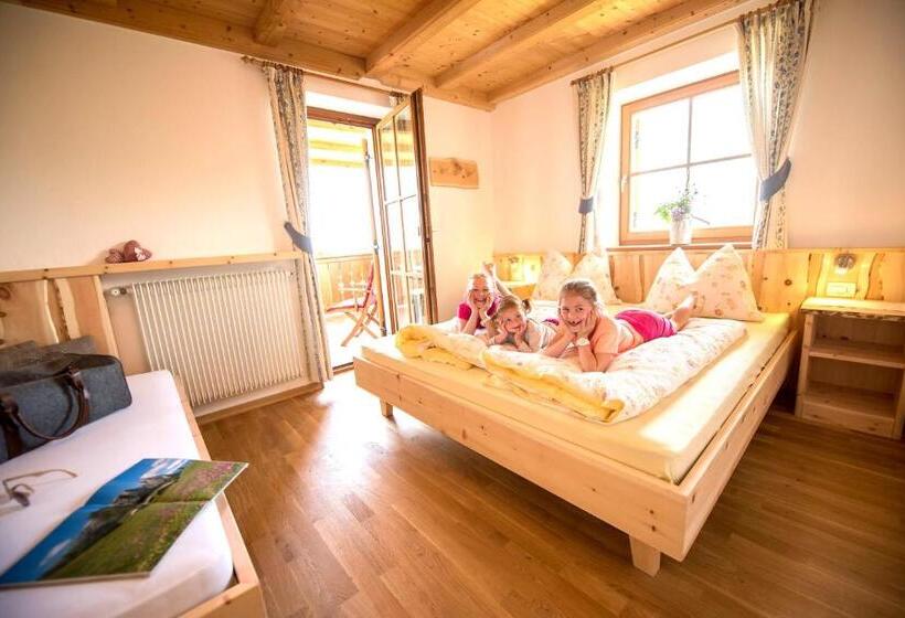 آپارتمان 1 خوابه با تراس, Singerhof