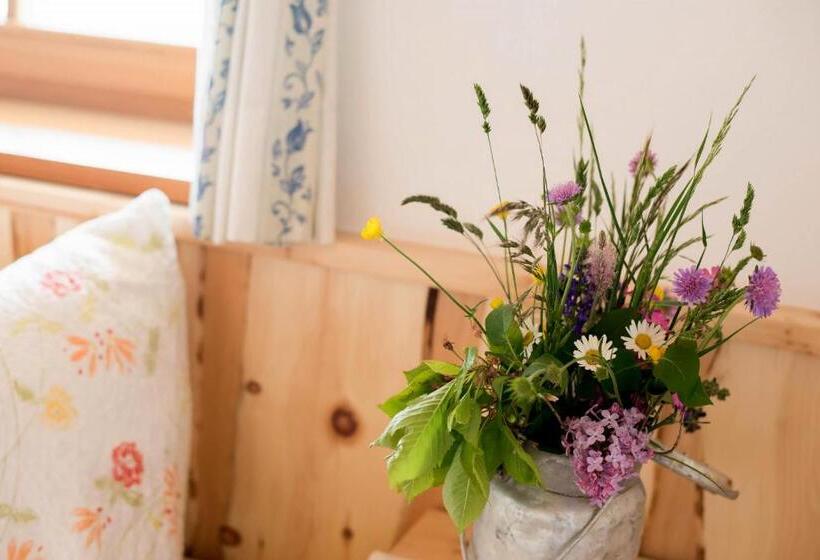 آپارتمان 1 خوابه با تراس, Singerhof