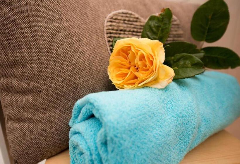 آپارتمان 1 خوابه با تراس, Singerhof