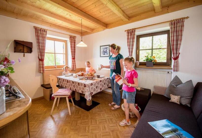 آپارتمان 1 خوابه با تراس, Singerhof