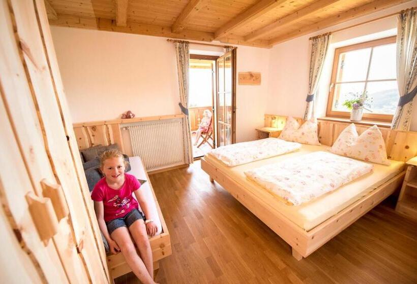 آپارتمان 1 خوابه با تراس, Singerhof