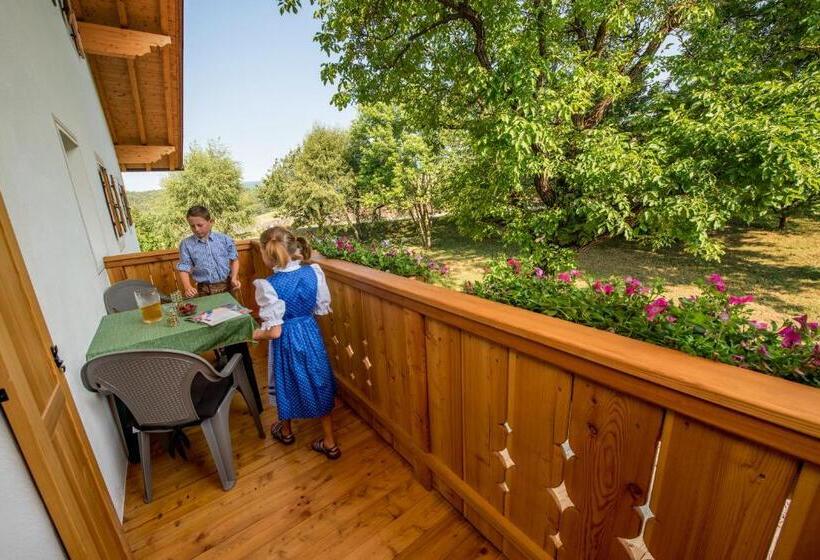 آپارتمان 1 خوابه با بالکن, Singerhof