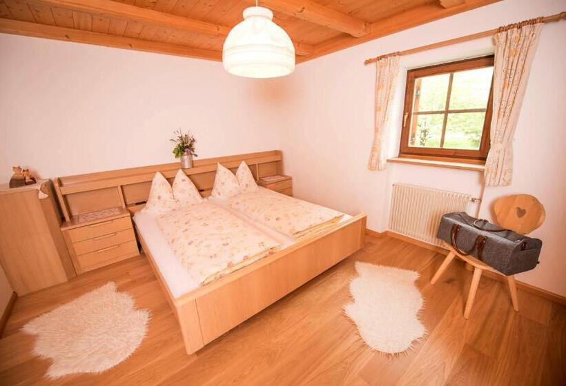 آپارتمان 1 خوابه با بالکن, Singerhof