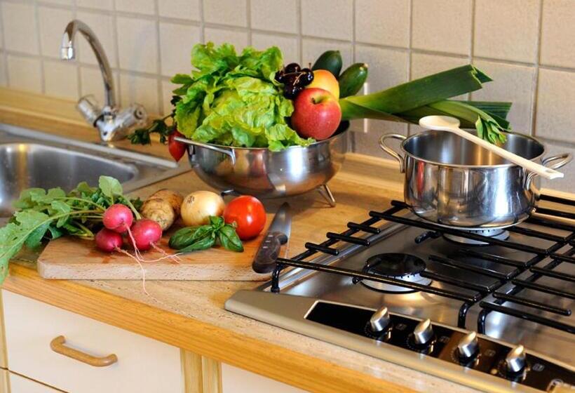 آپارتمان 1 خوابه با چشمانداز, Singerhof