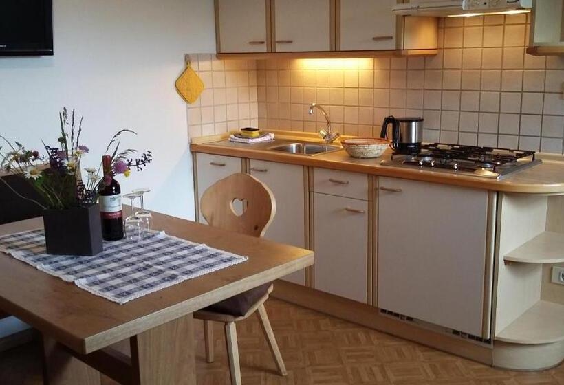 آپارتمان 1 خوابه با چشمانداز, Singerhof