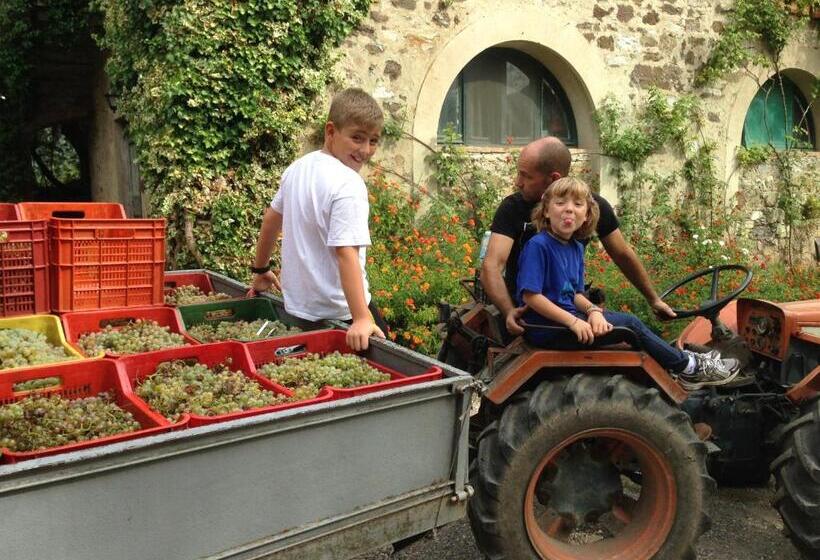 اتاق استاندارد, Fattoria Le Poggiola