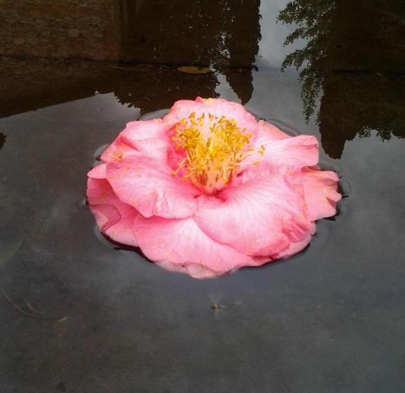 خانه 1 خوابه, Fattoria Le Poggiola