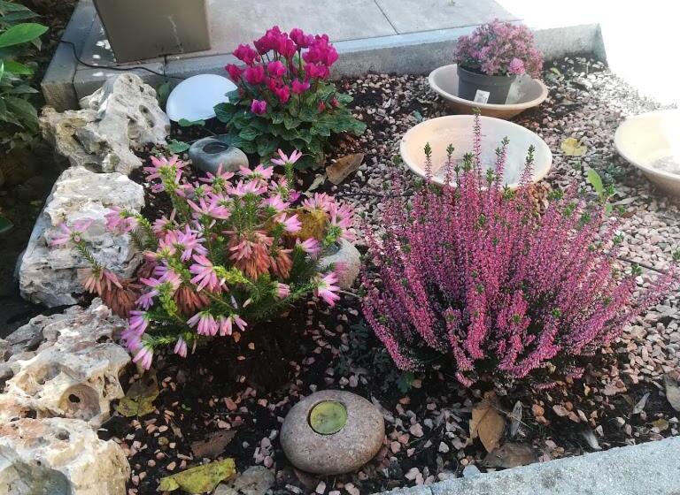 חדר דלוקס יחיד, Appunti Di Viaggio Room & Breakfast