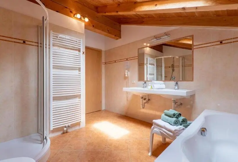 آپارتمان 2 خوابه, Pension Appartement Mitterhofer