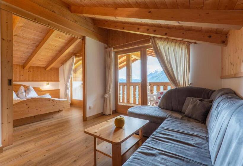 Апартаменты 2 Спальни, Pension Appartement Mitterhofer