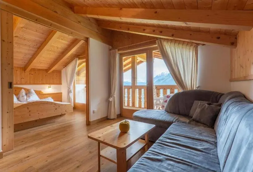 آپارتمان 2 خوابه, Pension Appartement Mitterhofer