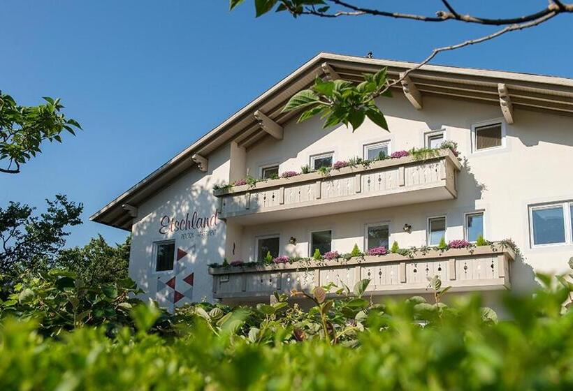 Номер Стандарт, Pension Etschland