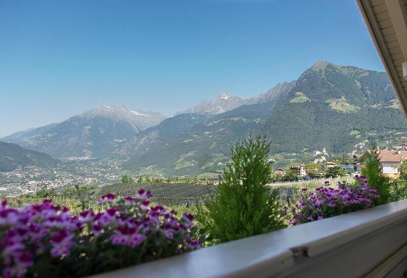 غرفة قياسية, Pension Etschland