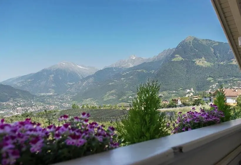 اتاق استاندارد, Pension Etschland