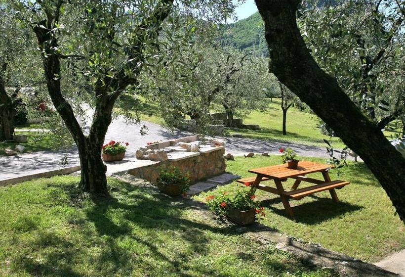 דירת שלושה חדרים, Residence Uliveto