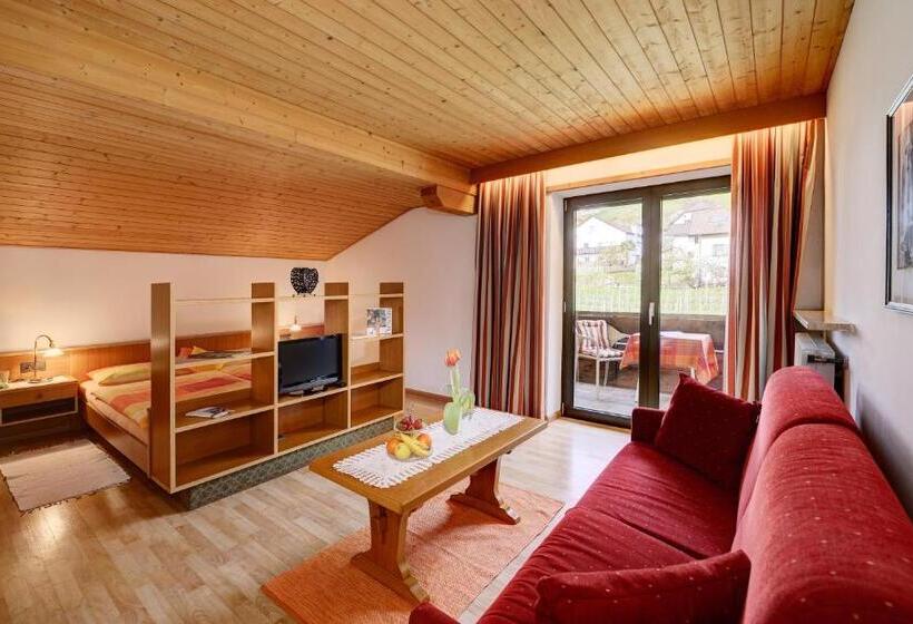 Студия Стандарт, Apparthotel Taufenbrunn