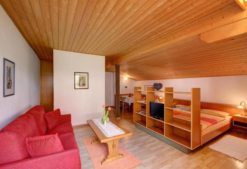 חדר סטודיו סטנדרד, Apparthotel Taufenbrunn