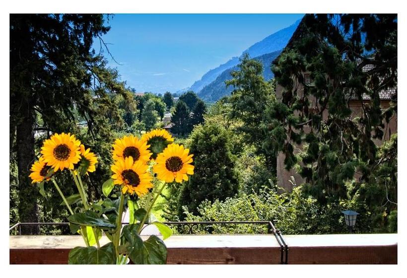 חדר סטודיו סטנדרד, Apparthotel Taufenbrunn