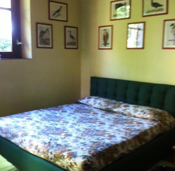 标准工作室, Fattoria Di Migliarino