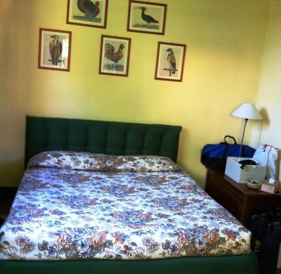 标准工作室, Fattoria Di Migliarino