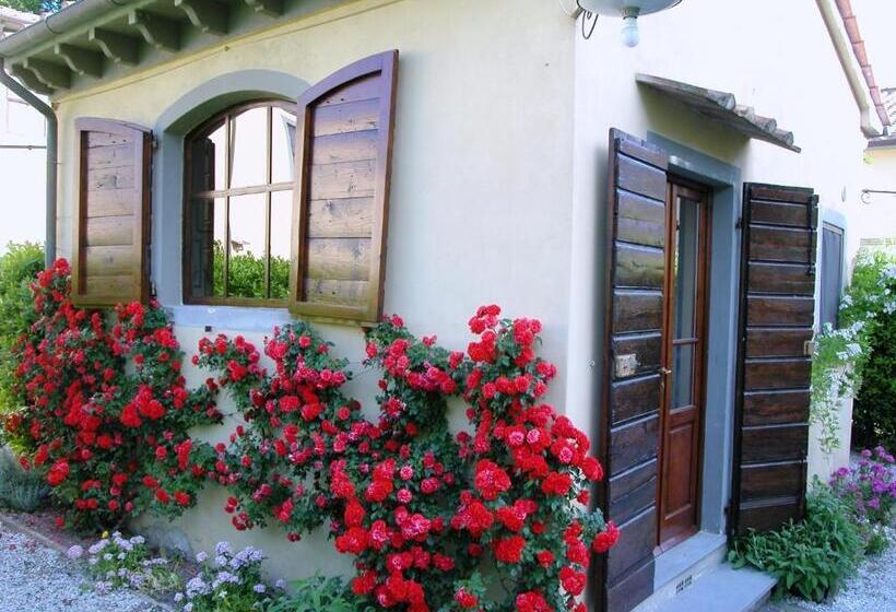 标准工作室, Fattoria Di Migliarino