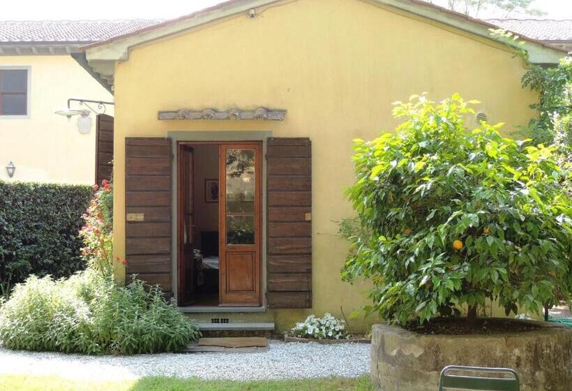 标准工作室, Fattoria Di Migliarino