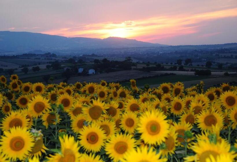 Апартаменты 1 Спальня с Террасой, Il Casale