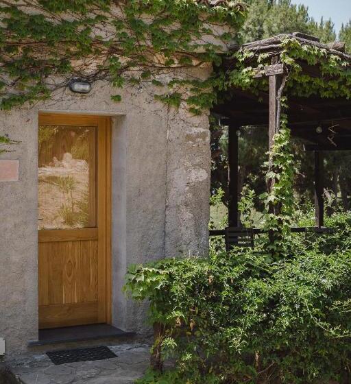 수피리어 패밀리 룸, Masseria Agriturismo Torre Di Albidona