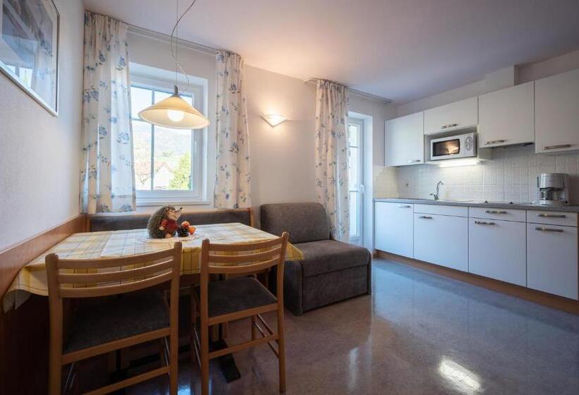 带1个卧室的公寓, Residence Treyer