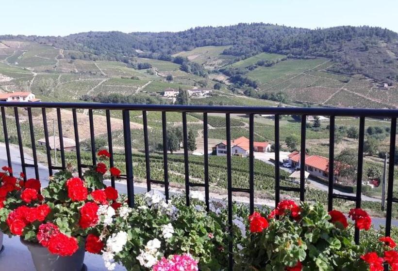 豪华房间, Domaine Du Coteau Des Lys