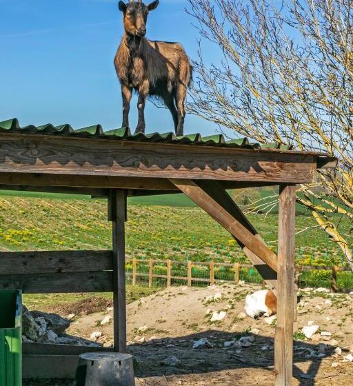 디럭스 패밀리 룸, Domaine De Rambeau