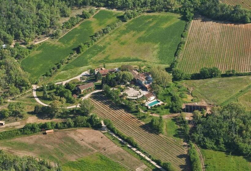 غرفة سوبيريور, Une Campagne En Provence