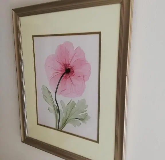 デラックスルーム, Olive Tree Guest House