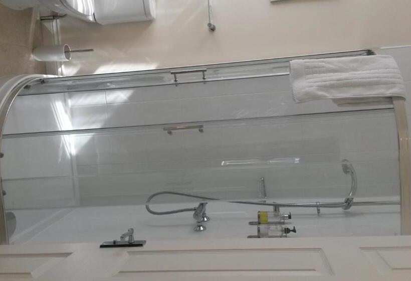 スイート（家族用）, The Swan Inn