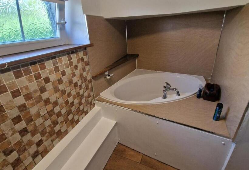 חדר אקונומי יחיד, Teviotside Travel Inn Ltd