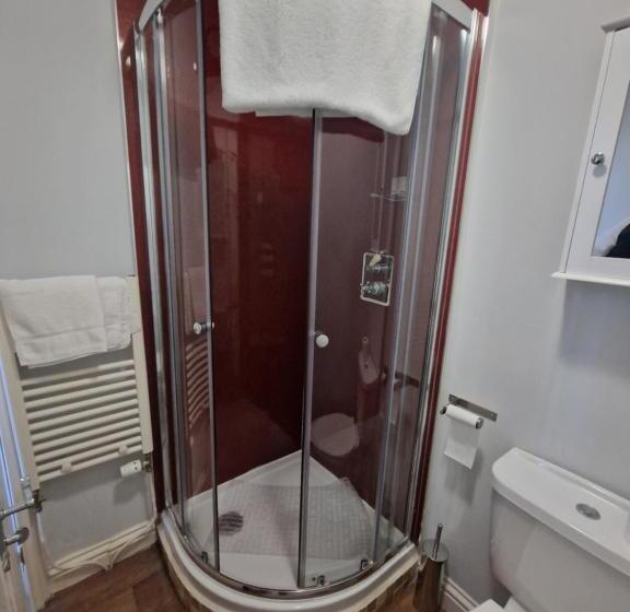 Номер Стандарт Индивидуальный, Teviotside Travel Inn Ltd