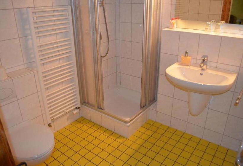 اتاق خانوادگی, Altstadt Pension Koch