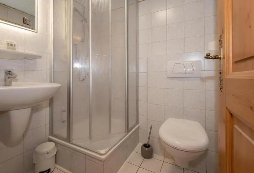 Standard Yhden Hengen Huone, Pension Ludwig Thoma