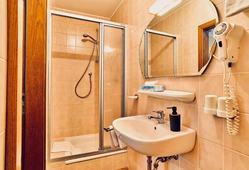 スタンダードシングルルーム, Landgasthof Moser & Restaurant Bootshaus