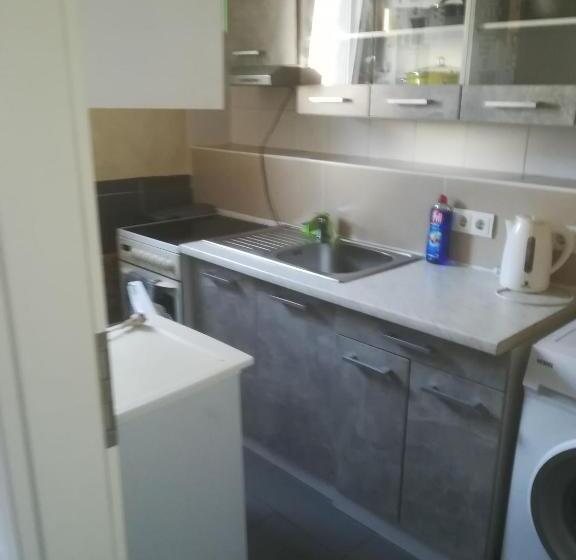 Апартаменты 1 Спальня Нижний Этаж, Fitness Pension