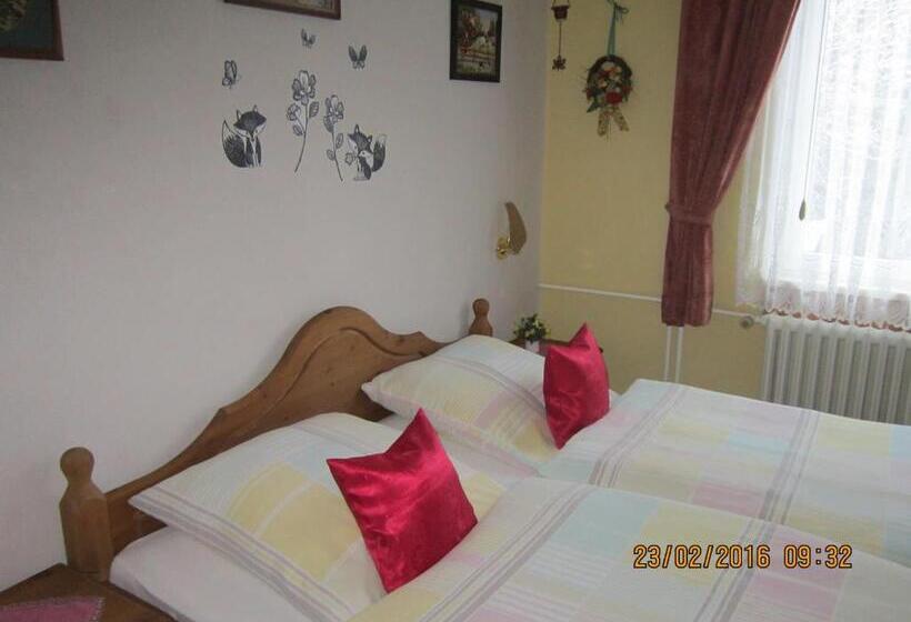 חדר סטנדרט, Pension Haus Zur Orke