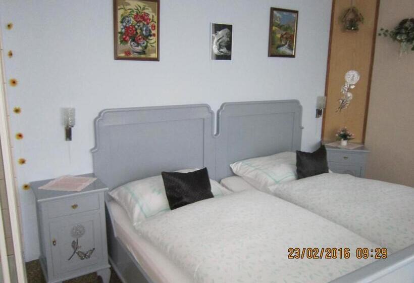חדר סטנדרט, Pension Haus Zur Orke