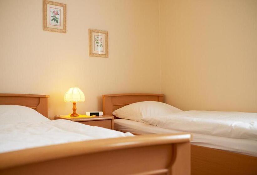 1 Szobás Apartman Erkéllyel, Pension Kueck