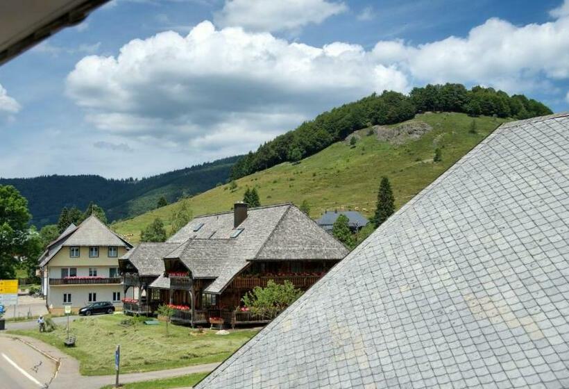 标准间, Gasthaus Löwen